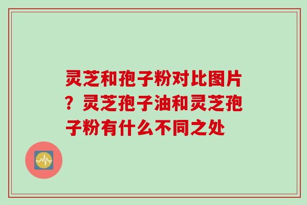 灵芝和孢子粉对比图片？灵芝孢子油和灵芝孢子粉有什么不同之处
