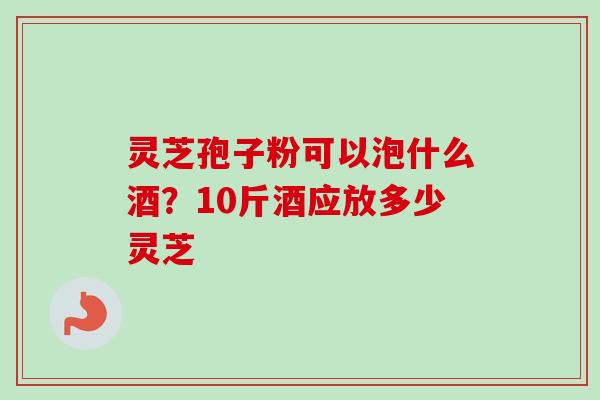 灵芝孢子粉可以泡什么酒？10斤酒应放多少灵芝