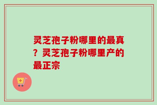 灵芝孢子粉哪里的最真？灵芝孢子粉哪里产的最正宗