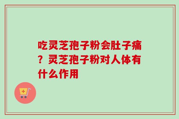 吃灵芝孢子粉会肚子痛？灵芝孢子粉对人体有什么作用