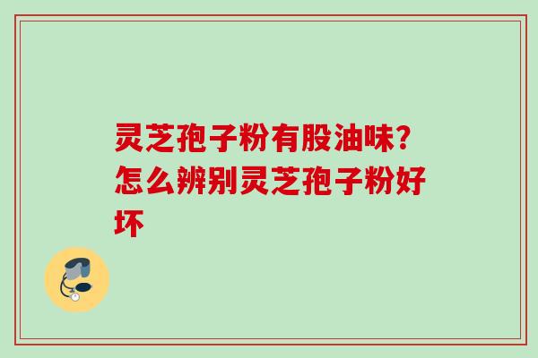 灵芝孢子粉有股油味？怎么辨别灵芝孢子粉好坏