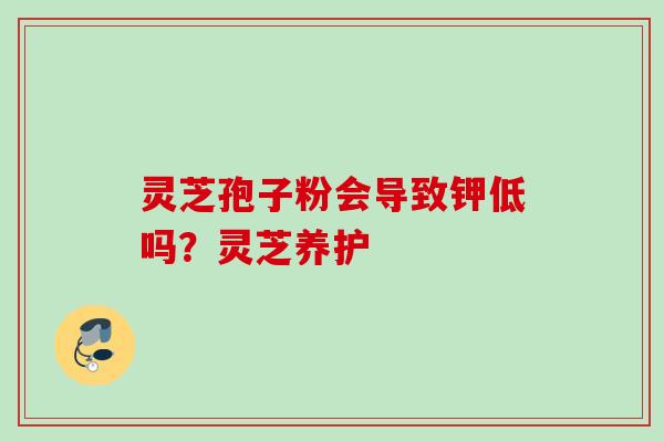 灵芝孢子粉会导致钾低吗？灵芝养护