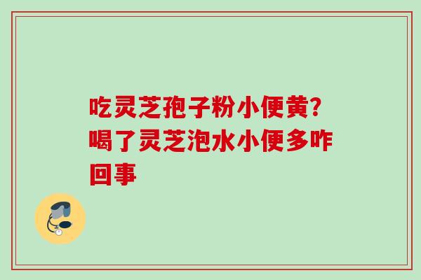 吃灵芝孢子粉小便黄？喝了灵芝泡水小便多咋回事