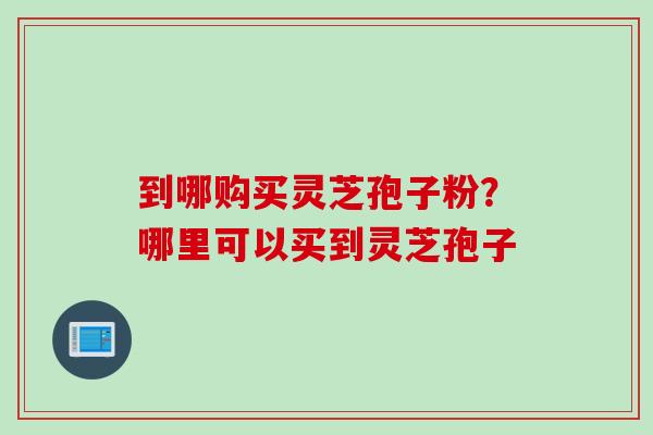 到哪购买灵芝孢子粉？哪里可以买到灵芝孢子