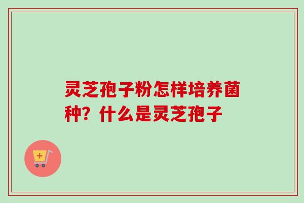 灵芝孢子粉怎样培养菌种?什么是灵芝孢子 灵芝孢子粉怎样培养菌种?什么是灵芝孢子