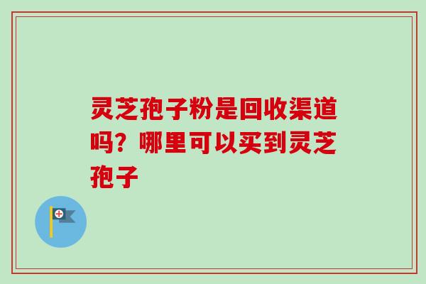 灵芝孢子粉是回收渠道吗？哪里可以买到灵芝孢子
