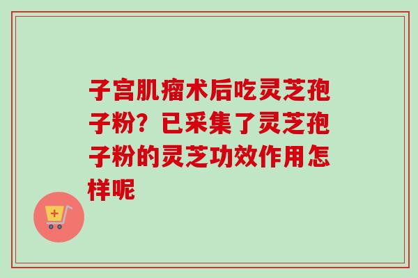 子宫肌瘤术后吃灵芝孢子粉？已采集了灵芝孢子粉的灵芝功效作用怎样呢