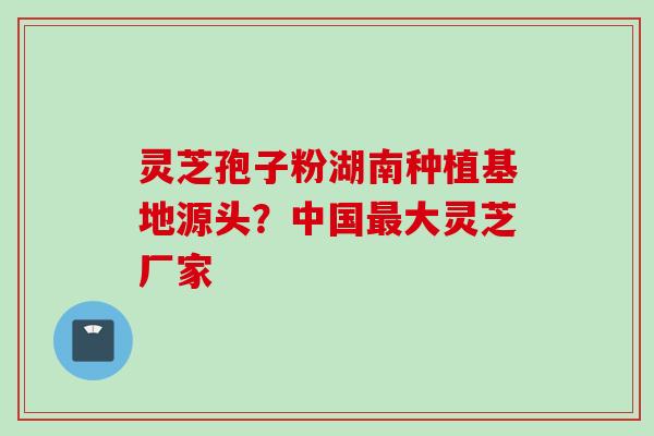 灵芝孢子粉湖南种植基地源头?中国大灵芝厂家 灵芝孢子粉湖南种植基地源头?中国大灵芝厂家