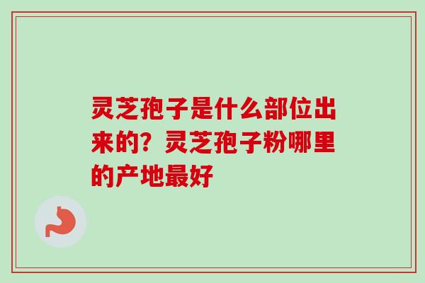 灵芝孢子是什么部位出来的？灵芝孢子粉哪里的产地最好