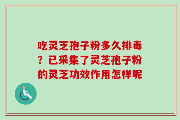 吃灵芝孢子粉多久排毒？已采集了灵芝孢子粉的灵芝功效作用怎样呢