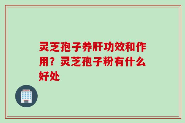灵芝孢子养肝功效和作用？灵芝孢子粉有什么好处