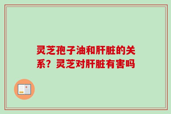 灵芝孢子油和肝脏的关系？灵芝对肝脏有害吗