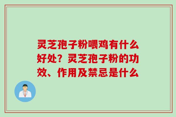 灵芝孢子粉喂鸡有什么好处？灵芝孢子粉的功效、作用及禁忌是什么