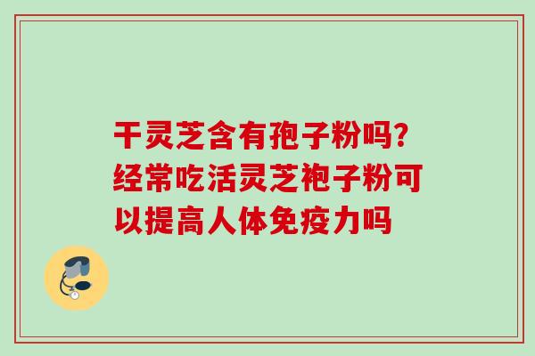 干灵芝含有孢子粉吗？经常吃活灵芝袍子粉可以提高人体免疫力吗