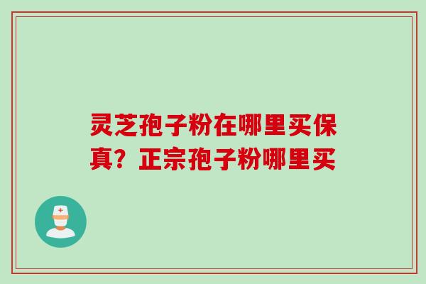 灵芝孢子粉在哪里买保真？正宗孢子粉哪里买