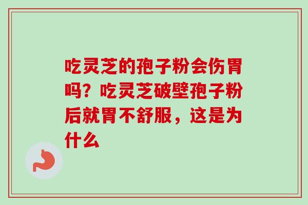吃灵芝的孢子粉会伤胃吗？吃灵芝破壁孢子粉后就胃不舒服，这是为什么