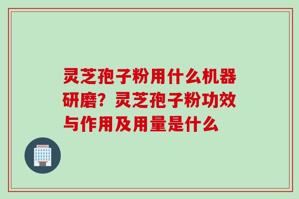 灵芝孢子粉用什么机器研磨？灵芝孢子粉功效与作用及用量是什么