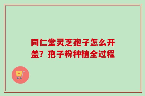 同仁堂灵芝孢子怎么开盖？孢子粉种植全过程