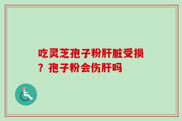 吃灵芝孢子粉肝脏受损？孢子粉会伤肝吗