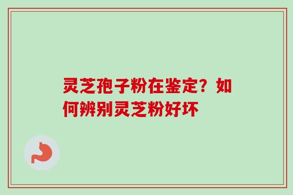 灵芝孢子粉在鉴定？如何辨别灵芝粉好坏