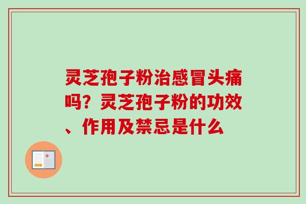 灵芝孢子粉治感冒头痛吗？灵芝孢子粉的功效、作用及禁忌是什么