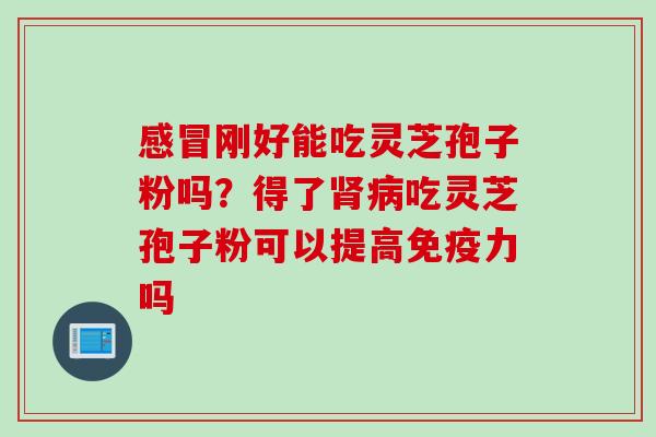 刚好能吃灵芝孢子粉吗?得了吃灵芝孢子粉可以提高免疫力吗 刚好能吃灵芝孢子粉吗?得了吃灵芝孢子粉可以提高免疫力吗
