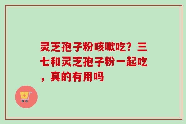 灵芝孢子粉咳嗽吃？三七和灵芝孢子粉一起吃，真的有用吗