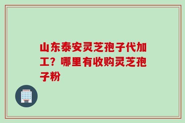 山东泰安灵芝孢子代加工？哪里有收购灵芝孢子粉
