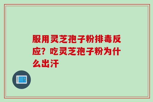 服用灵芝孢子粉排毒反应？吃灵芝孢子粉为什么出汗