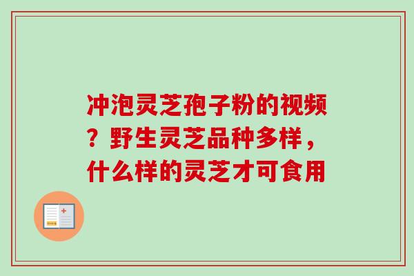冲泡灵芝孢子粉的视频？野生灵芝品种多样，什么样的灵芝才可食用