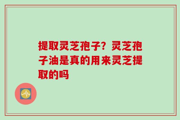 提取灵芝孢子？灵芝孢子油是真的用来灵芝提取的吗