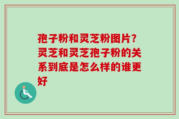 孢子粉和灵芝粉图片？灵芝和灵芝孢子粉的关系到底是怎么样的谁更好