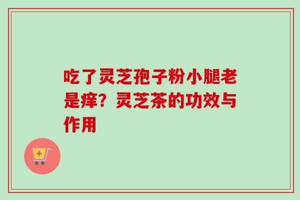 吃了灵芝孢子粉小腿老是痒？灵芝茶的功效与作用