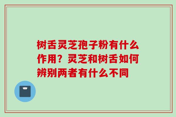 树舌灵芝孢子粉有什么作用？灵芝和树舌如何辨别两者有什么不同