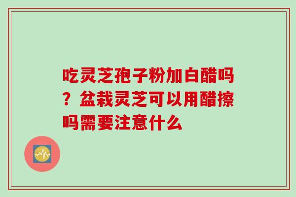 吃灵芝孢子粉加白醋吗？盆栽灵芝可以用醋擦吗需要注意什么