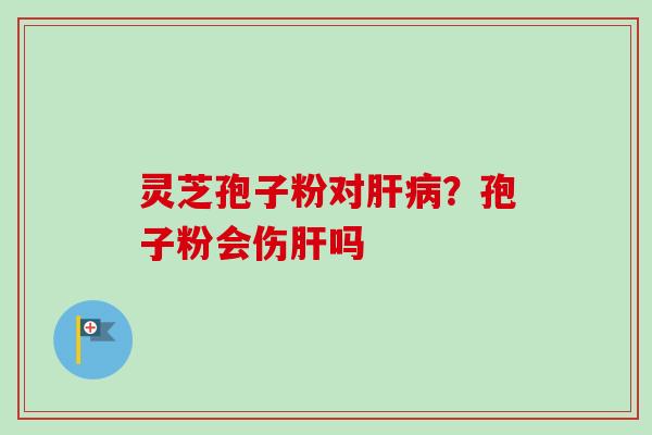 灵芝孢子粉对肝病？孢子粉会伤肝吗