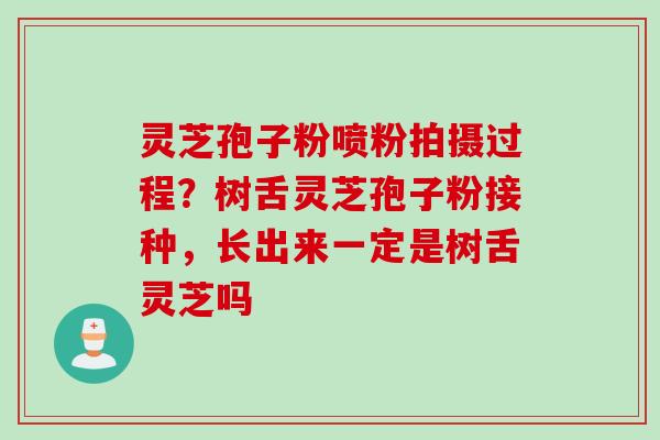 灵芝孢子粉喷粉拍摄过程？树舌灵芝孢子粉接种，长出来一定是树舌灵芝吗