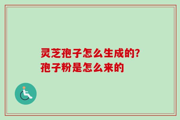 灵芝孢子怎么生成的？孢子粉是怎么来的