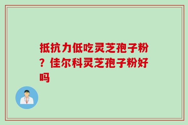 抵抗力低吃灵芝孢子粉？佳尔科灵芝孢子粉好吗