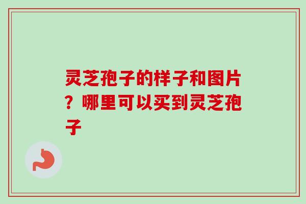 灵芝孢子的样子和图片？哪里可以买到灵芝孢子