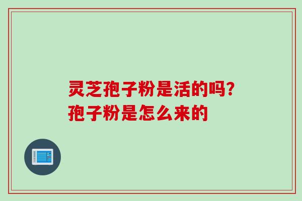 灵芝孢子粉是活的吗？孢子粉是怎么来的