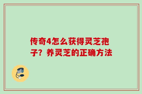 传奇4怎么获得灵芝孢子？养灵芝的正确方法
