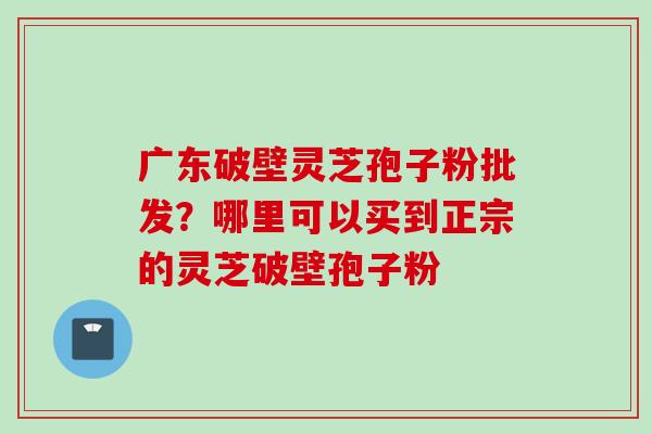 广东破壁灵芝孢子粉批发？哪里可以买到正宗的灵芝破壁孢子粉