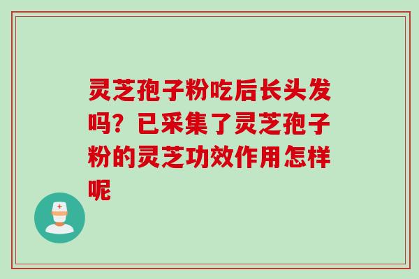 灵芝孢子粉吃后长头发吗？已采集了灵芝孢子粉的灵芝功效作用怎样呢
