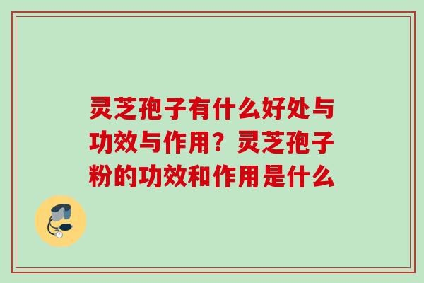 灵芝孢子有什么好处与功效与作用？灵芝孢子粉的功效和作用是什么