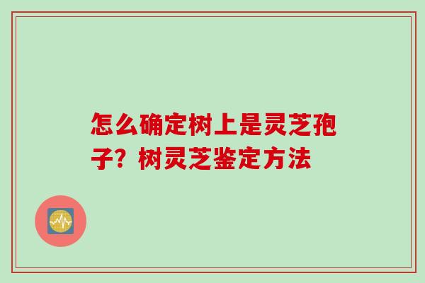 怎么确定树上是灵芝孢子？树灵芝鉴定方法