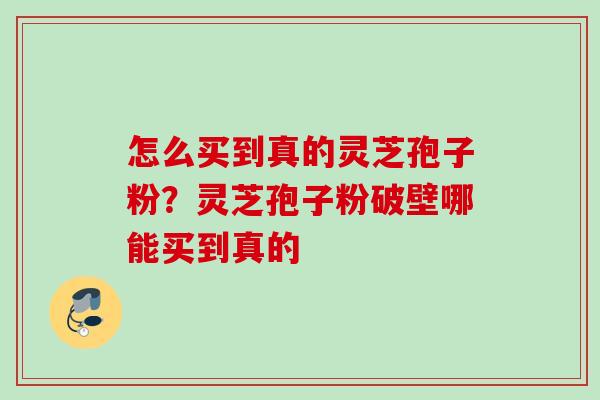 怎么买到真的灵芝孢子粉？灵芝孢子粉破壁哪能买到真的