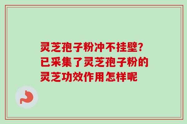 灵芝孢子粉冲不挂壁?已采集了灵芝孢子粉的灵芝功效作用怎样呢 灵芝孢子粉冲不挂壁?已采集了灵芝孢子粉的灵芝功效作用怎样呢