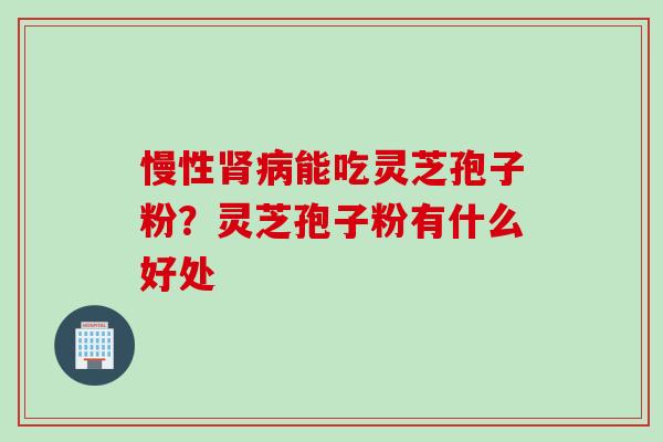 慢性肾病能吃灵芝孢子粉？灵芝孢子粉有什么好处