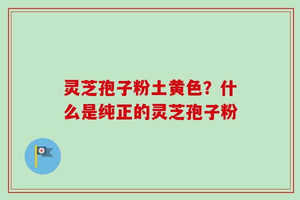 灵芝孢子粉土黄色？什么是纯正的灵芝孢子粉